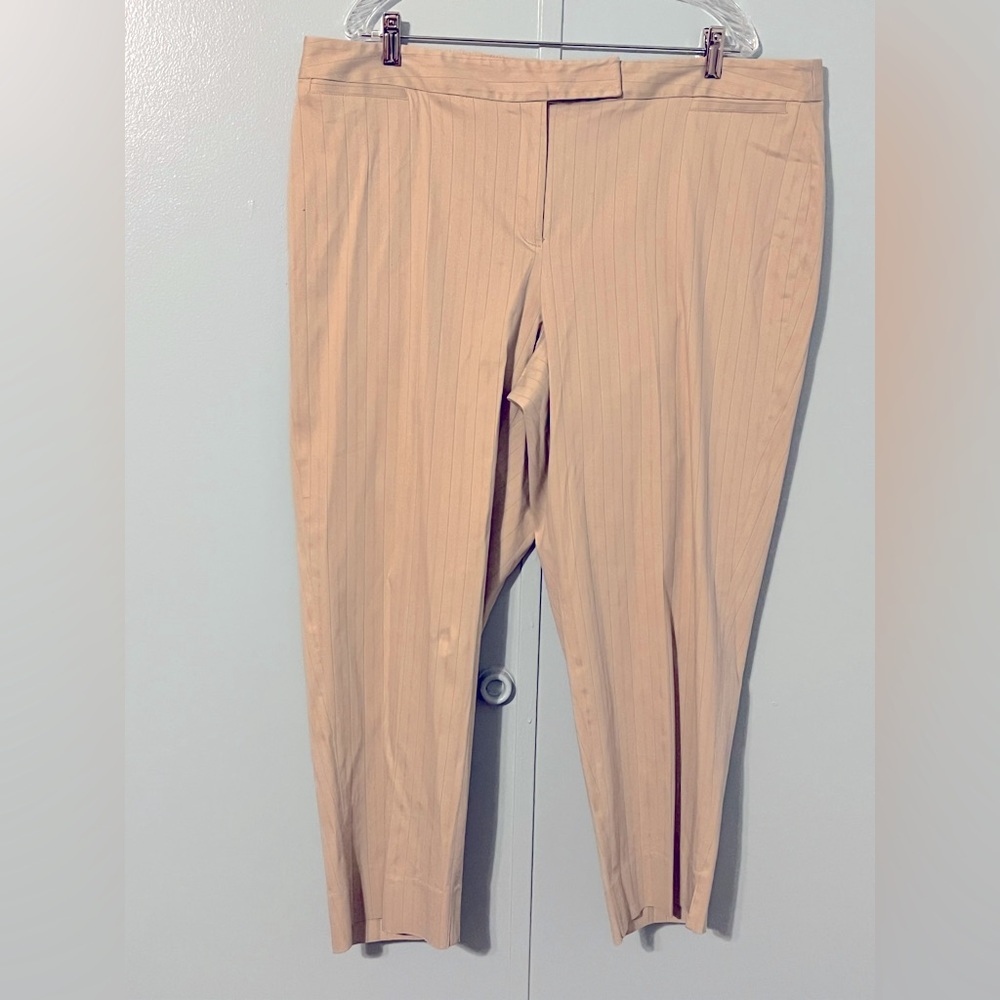 Rafaella Suit Pants Size 20W‎ Tan Pin Stripes Matches D-150 Jacket (18W)